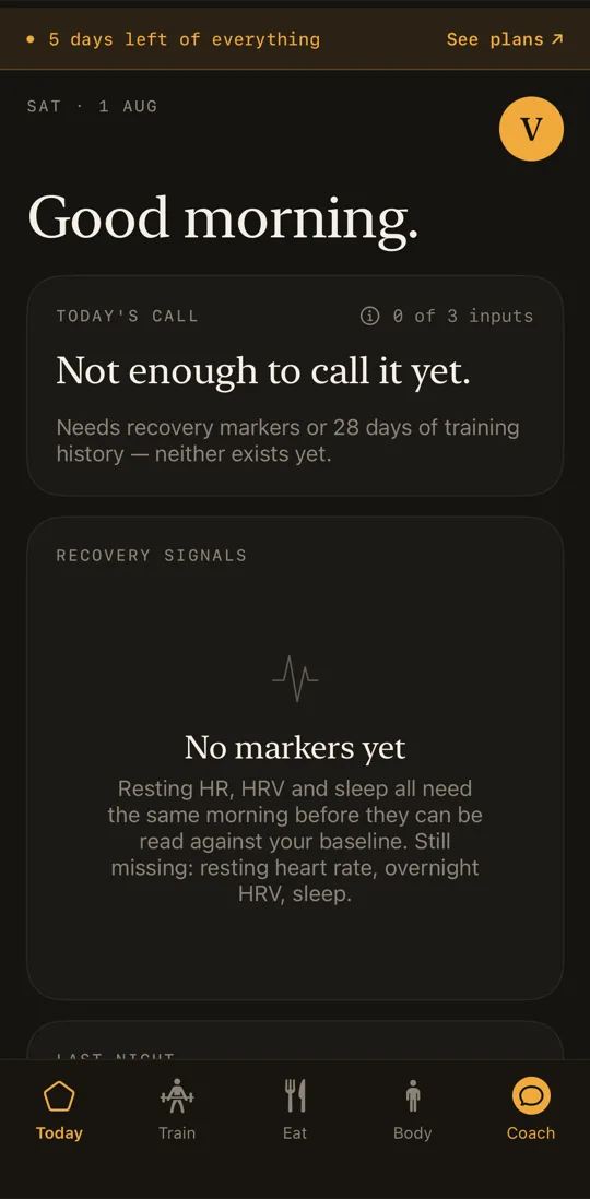 Velisa's Today tab in the Ember theme on day one: the default warm amber palette, trial banner at the top, nothing pre-filled.